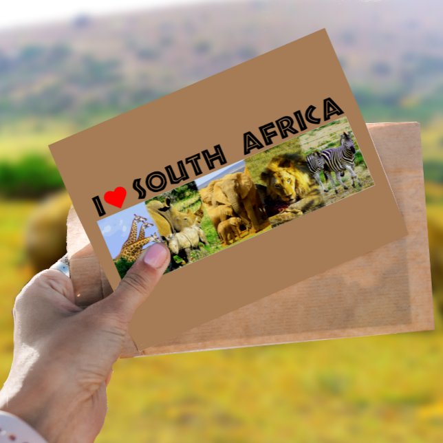 I Heart South Africa Wildlife Photos Postcard (Creator Uploaded)