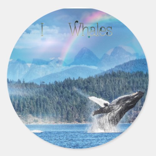 I heart whales breaching Humpback whale sticker