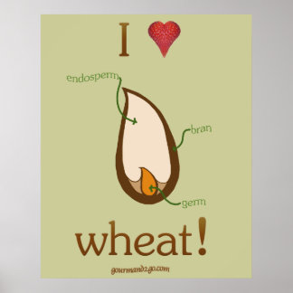 I Heart Wheat! Poster