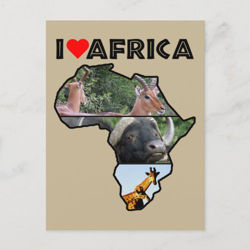 I Heat Africa Wildlife Collage Postcard