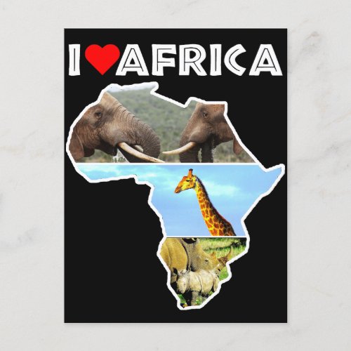 I Heat Africa Wildlife Collage Postcard