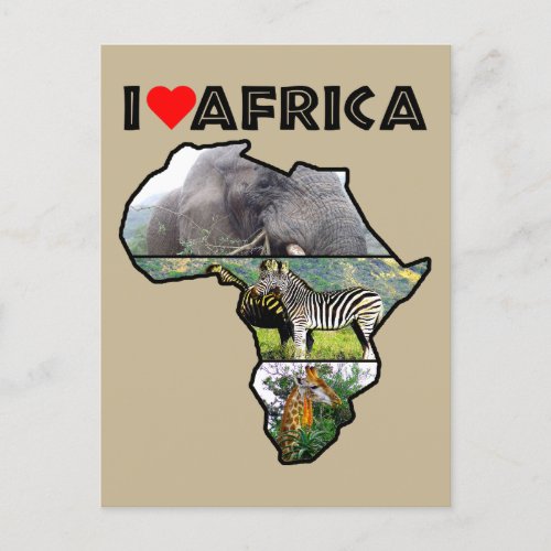 I Heat Africa Wildlife Collage Postcard