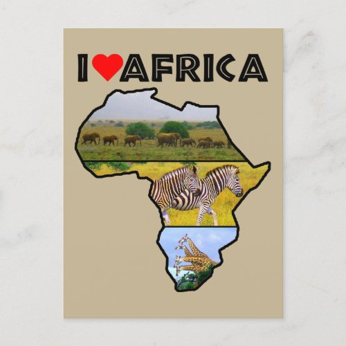 I Heat Africa Wildlife Collage Postcard