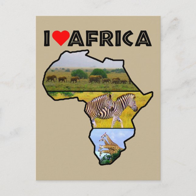 I Heat Africa Wildlife Collage Postcard (Front)