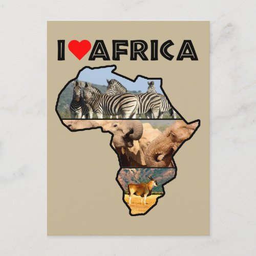 I Heat Africa Wildlife Collage Postcard