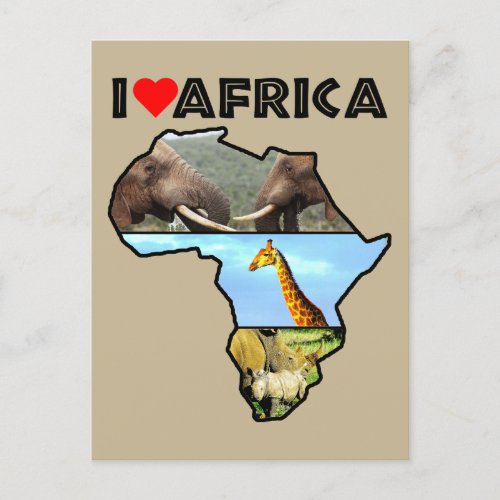 I Heat Africa Wildlife Collage Postcard