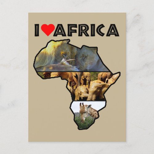 I Heat Africa Wildlife Collage Postcard