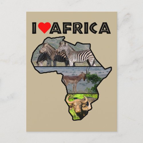 I Heat Africa Wildlife Collage Postcard