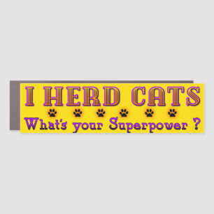 I Herd Cats Bumper Magnet - Gold