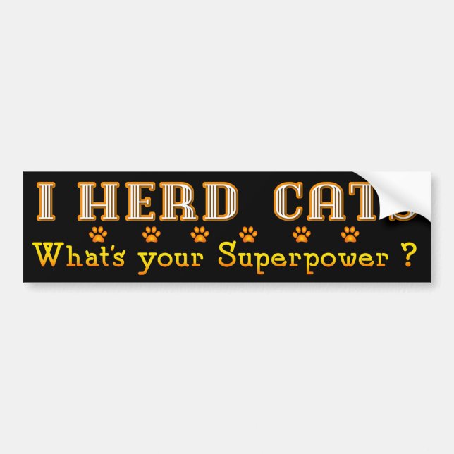 I Herd Cats Bumper Sticker - Black (Front)