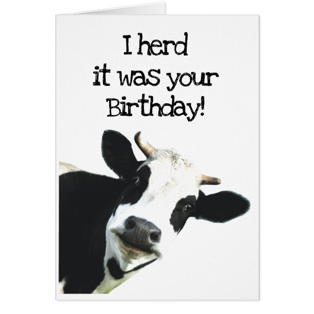 I Herd it Was Your Birthday Fun Holstein Cow Humor (Front)