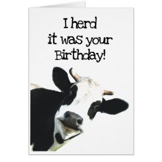 I Herd it Was Your Birthday Fun Holstein Cow Humor Cards