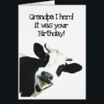 I Herd it Was Your Birthday Grandpa Holstein Cow<br><div class="desc">I Herd it Was Your Birthday Grandpa Fun Cow Humor and hope it puts you in a good mooood.   Funny animal birthday humor with a herd of cows.   Good card for someone with a sense of humor or a farmer</div>