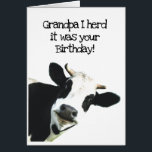 I Herd it Was Your Birthday Grandpa Holstein Cow<br><div class="desc">I Herd it Was Your Birthday Grandpa Fun Cow Humor and hope it puts you in a good mooood.   Funny animal birthday humor with a herd of cows.   Good card for someone with a sense of humor or a farmer</div>