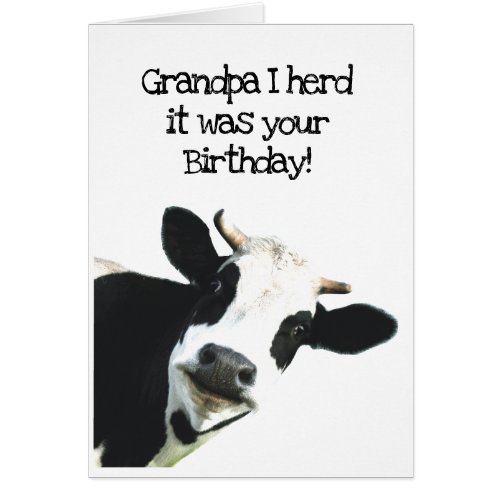 I Herd it Was Your Birthday Grandpa Holstein Cow
