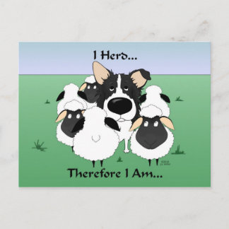 I Herd....Therefore I Am Postcard