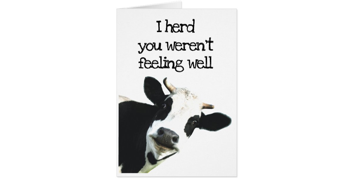 I Herd You weren't Feeling Well Holstein Cow Humor | Zazzle
