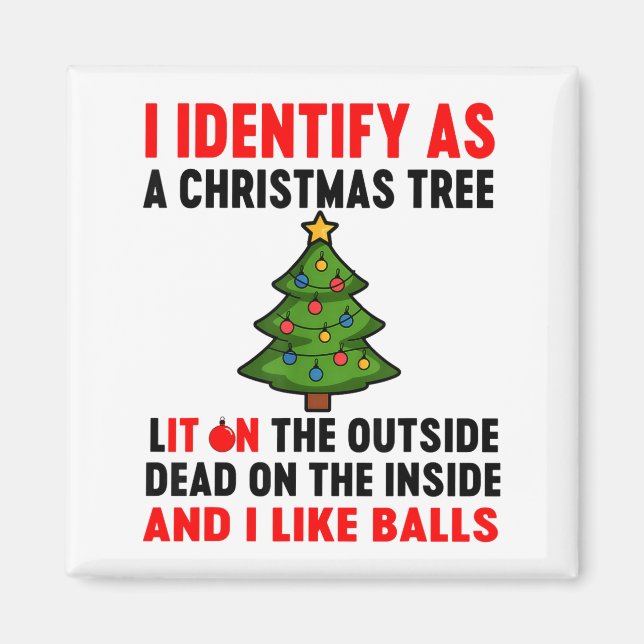 I Identify As A Christmas Tree Lit On The Outside  Magnet (Front)