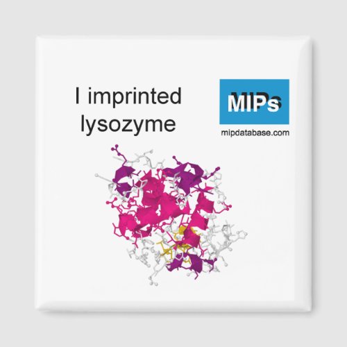 I imprinted lysozyme magnet