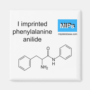 I imprinted phenylalanine anilide magnet