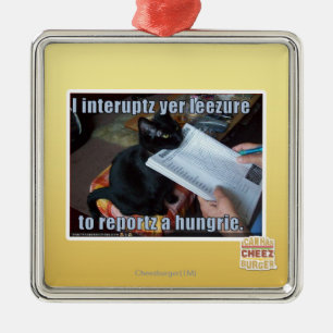 I interupt yer Leezure Metal Ornament