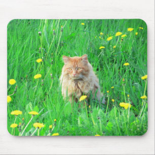 I is a dandy lion mouse pad