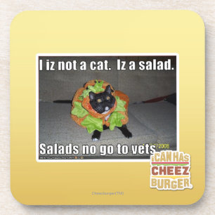 I iz not a cat. Iz a salad. Beverage Coaster