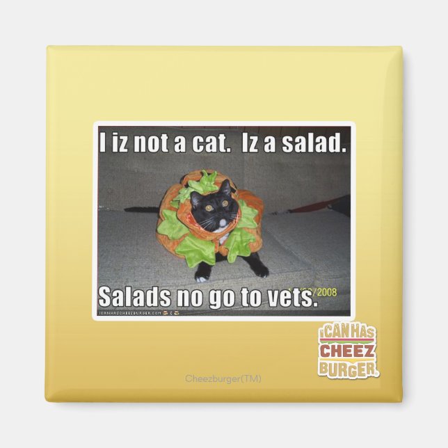I iz not a cat. Iz a salad. Magnet (Front)