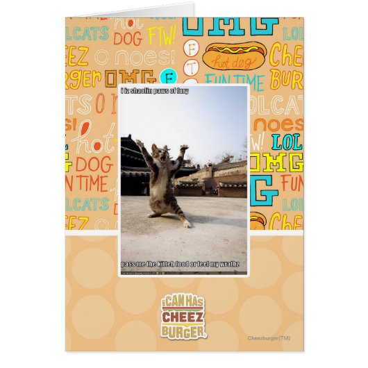I iz shaolin paws of fury cards (Front)
