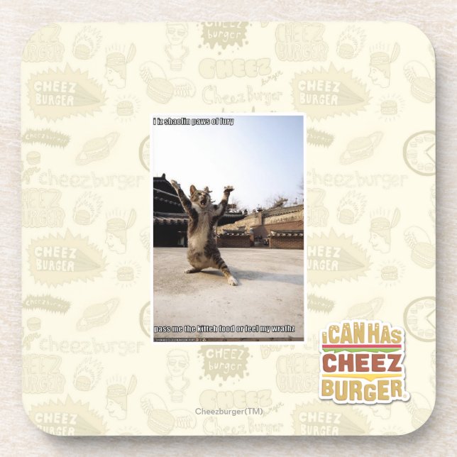 I iz shaolin paws of fury coaster (Front)