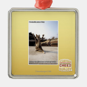 I iz shaolin paws of fury metal ornament