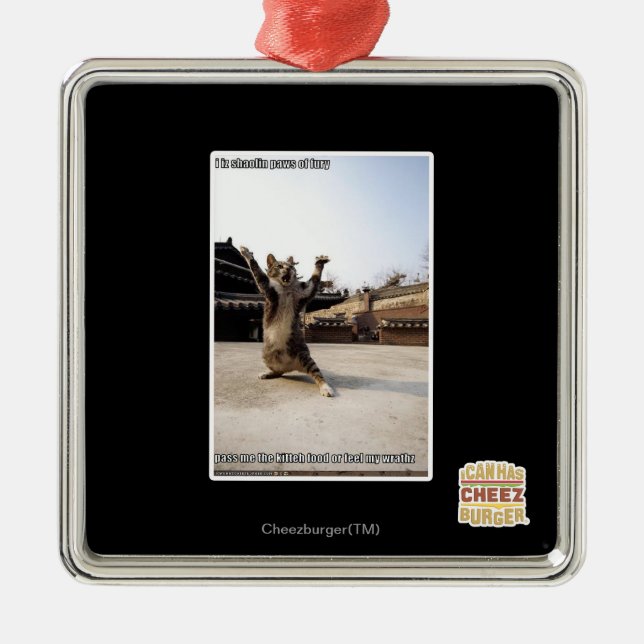 I iz shaolin paws of fury metal ornament (Front)