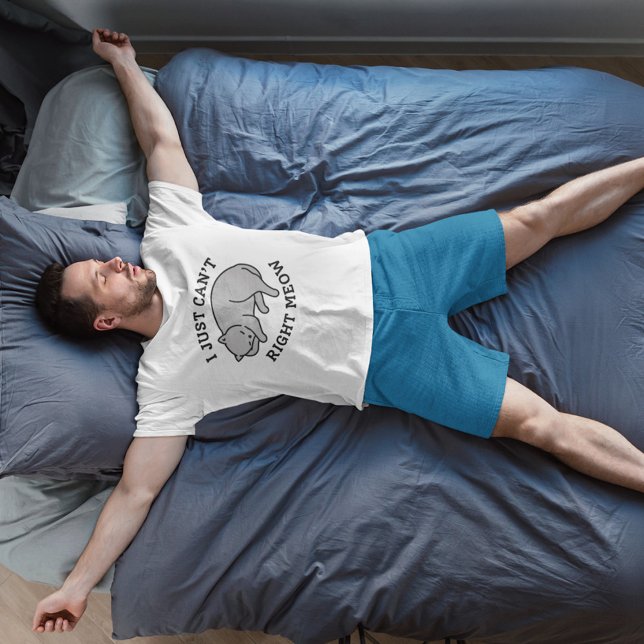 I Just Can’t Right Meow T-Shirt (Creator Uploaded)