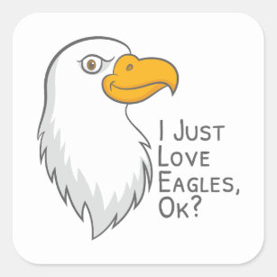 I Just Really Like Eagles Ok Shirt Funny Eagle Lover Gift T-Shirt