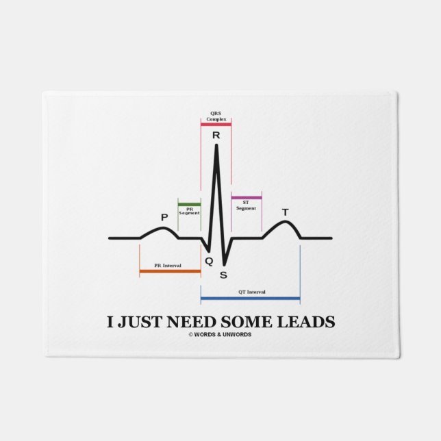 I Just Need Some Leads ECG EKG Medical Humor Doormat (Front)