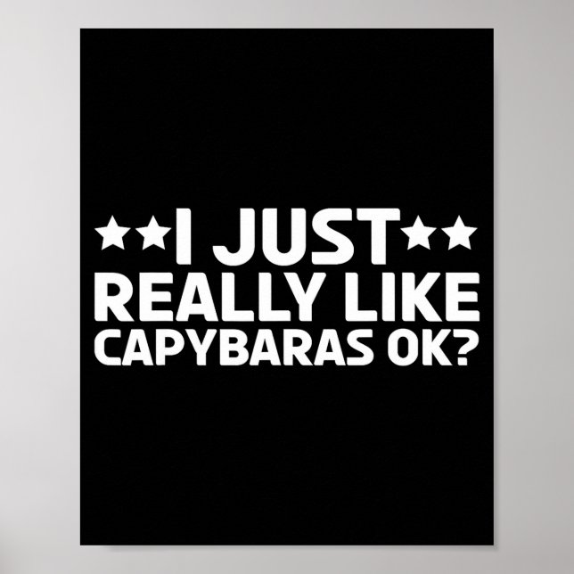 I Just Really Like Capybaras Ok Capy Rodent Capyba Poster (Front)