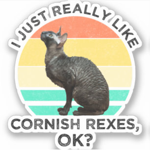 I Just Really Like Cornish Rexes, OK? Sticker