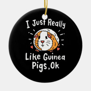 I Just Really Like Guinea Pigs Ceramic Ornament