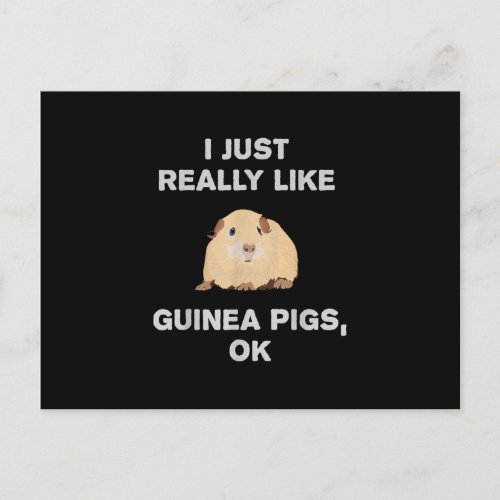 I Just Really Like Guinea Pigs Ok Funny Guinea Pig Postcard