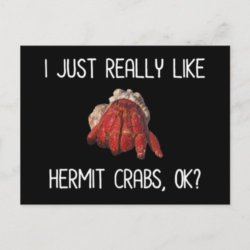 I Just Really Like Hermit Crabs OK Postcard
