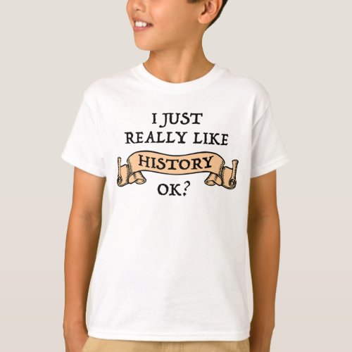 I Just Really Like History OK Funny History Buff T_Shirt
