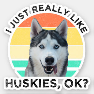 I Just Really Like Huskies, OK? Sticker