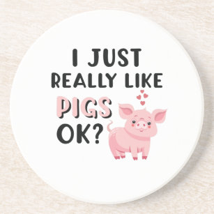 I Just Really Like Pigs OK? Coaster