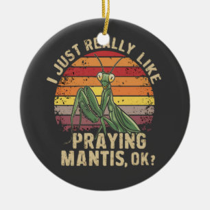 I Just Really Like Praying Mantis Ok Insect Retro Ceramic Ornament