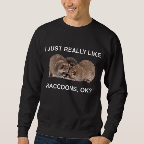 I Just Really Like Raccoons OK Three Raccoon Panda Sweatshirt