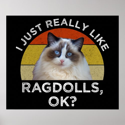 I Just Really Like Ragdolls OK Poster
