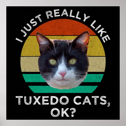 I Just Really Like Tuxedo Cats OK Poster