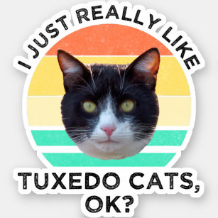 I Just Really Like Tuxedo Cats OK? Sticker