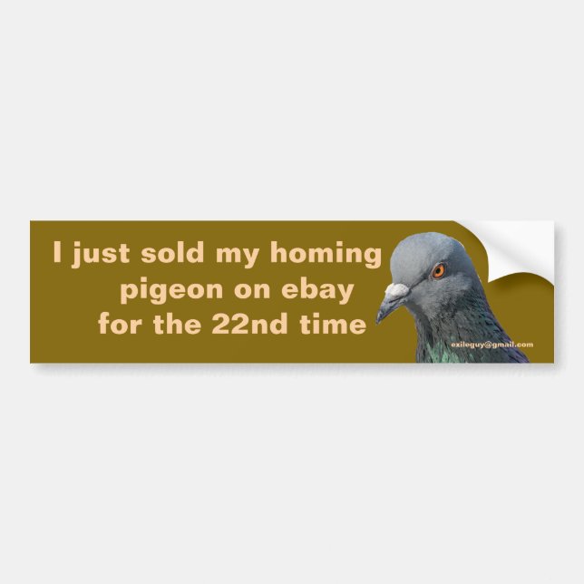 I just sold my homing pigeon bumper sticker (Front)