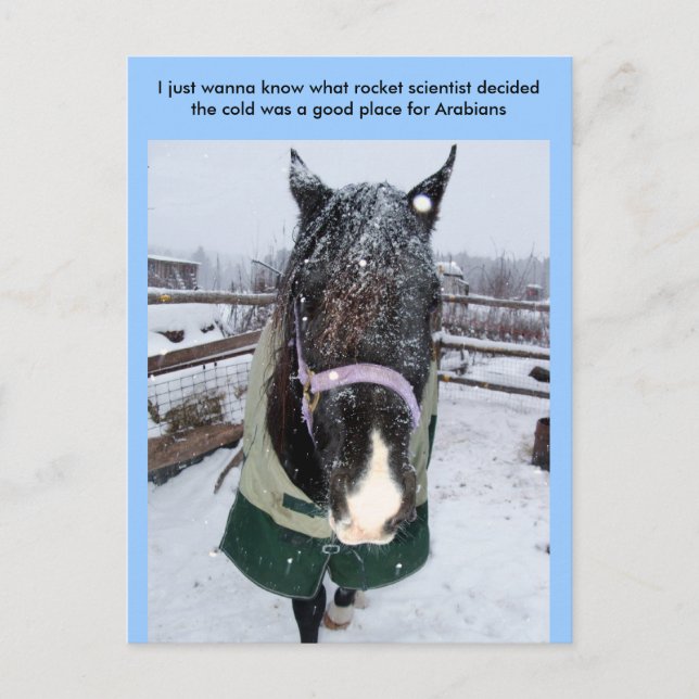 I just wanna know what rocket sci... postcard (Front)